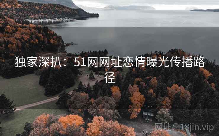 独家深扒：51网网址恋情曝光传播路径