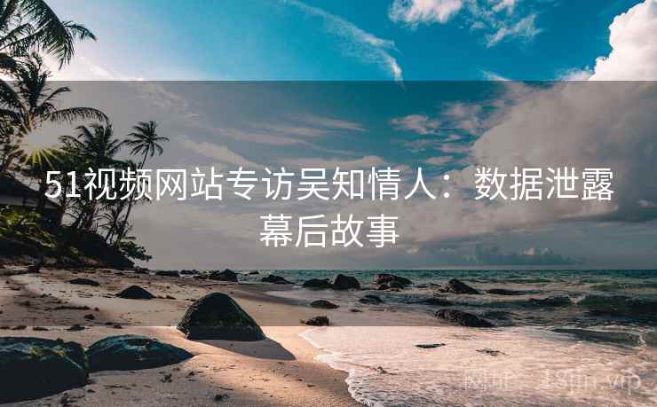 51视频网站专访吴知情人：数据泄露幕后故事