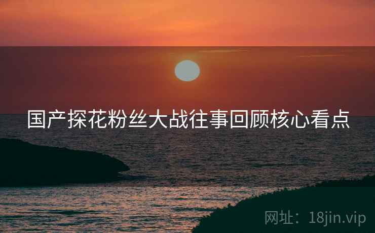 国产探花粉丝大战往事回顾核心看点