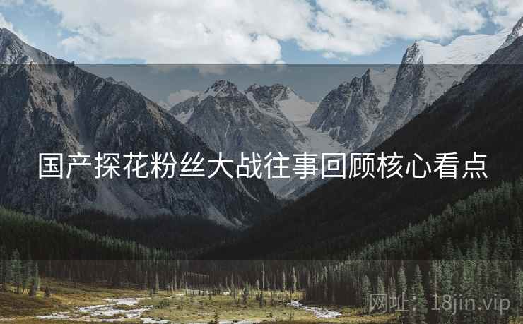 国产探花粉丝大战往事回顾核心看点