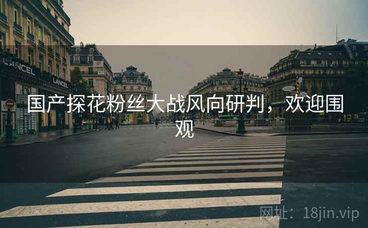 国产探花粉丝大战风向研判，欢迎围观