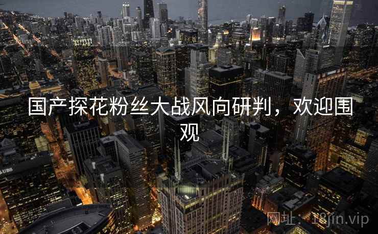 国产探花粉丝大战风向研判，欢迎围观