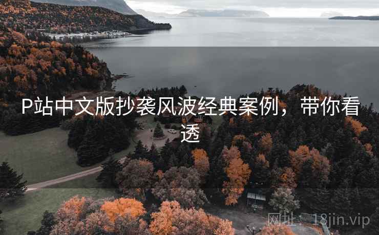 P站中文版抄袭风波经典案例，带你看透