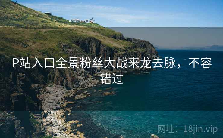 P站入口全景粉丝大战来龙去脉，不容错过