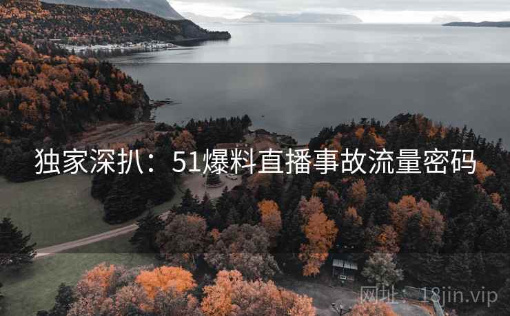 独家深扒：51爆料直播事故流量密码