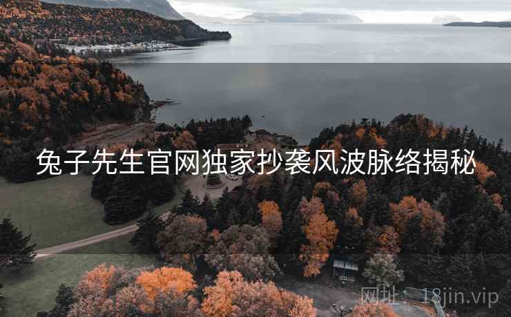 兔子先生官网独家抄袭风波脉络揭秘