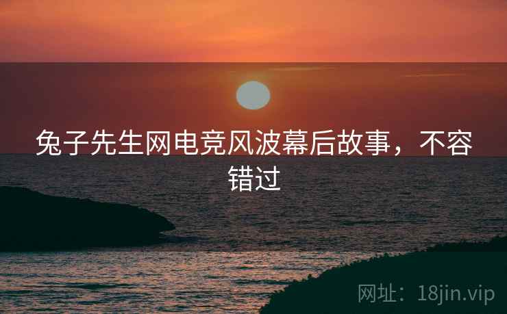 兔子先生网电竞风波幕后故事，不容错过
