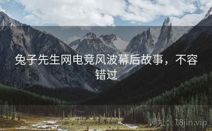兔子先生网电竞风波幕后故事，不容错过