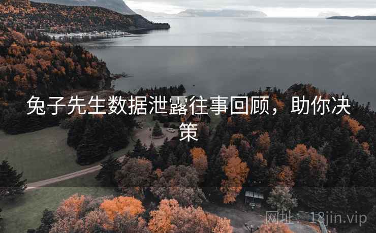兔子先生数据泄露往事回顾，助你决策