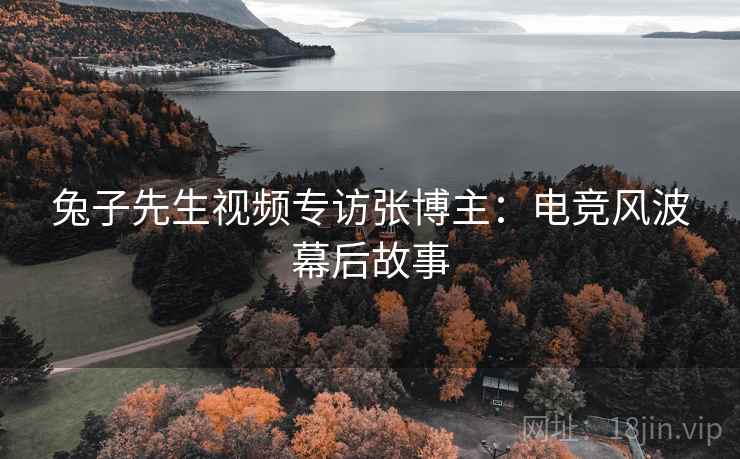 兔子先生视频专访张博主：电竞风波幕后故事