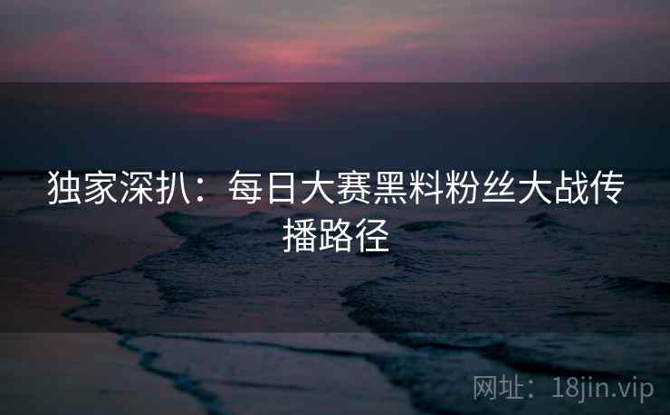 独家深扒：每日大赛黑料粉丝大战传播路径
