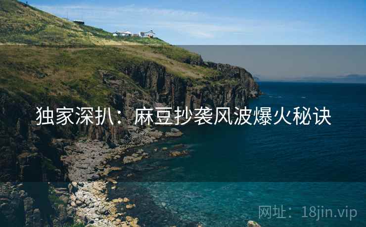 独家深扒：麻豆抄袭风波爆火秘诀
