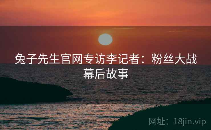 兔子先生官网专访李记者：粉丝大战幕后故事