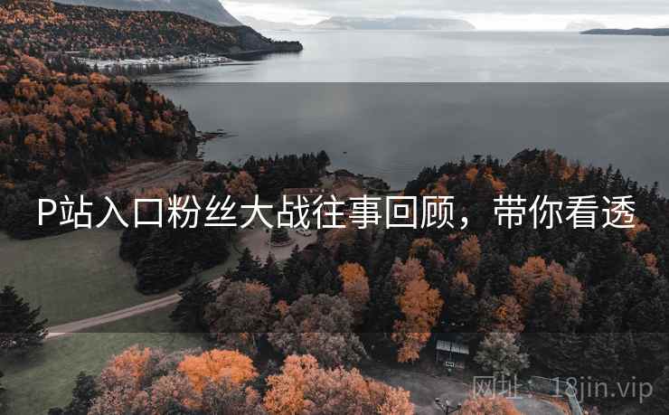 P站入口粉丝大战往事回顾，带你看透