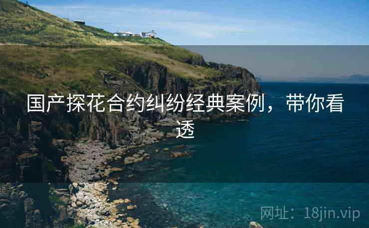 国产探花合约纠纷经典案例，带你看透