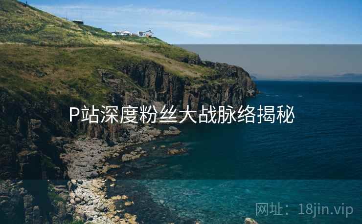 P站深度粉丝大战脉络揭秘