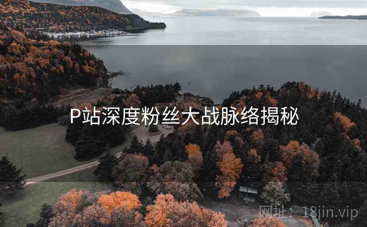 P站深度粉丝大战脉络揭秘